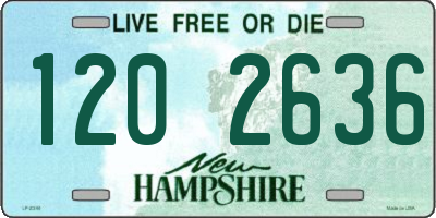 NH license plate 1202636