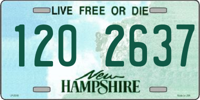 NH license plate 1202637