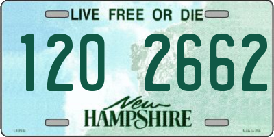 NH license plate 1202662