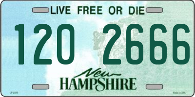 NH license plate 1202666