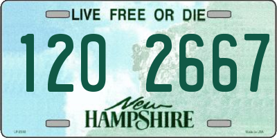NH license plate 1202667