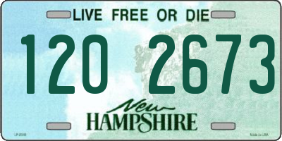 NH license plate 1202673