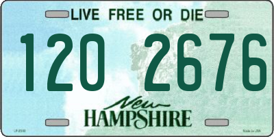 NH license plate 1202676