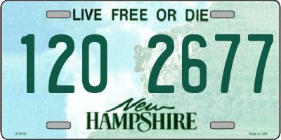 NH license plate 1202677