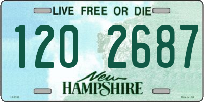 NH license plate 1202687