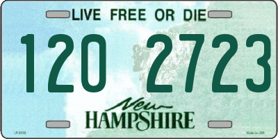 NH license plate 1202723