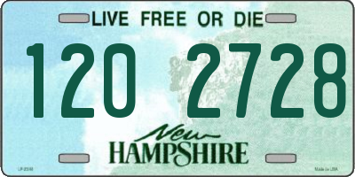 NH license plate 1202728