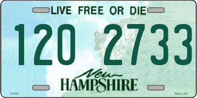 NH license plate 1202733