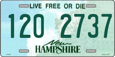 NH license plate 1202737
