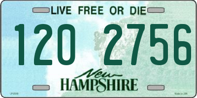 NH license plate 1202756