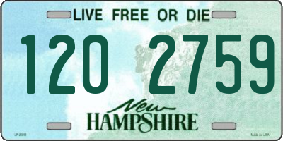 NH license plate 1202759