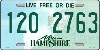 NH license plate 1202763