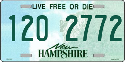 NH license plate 1202772