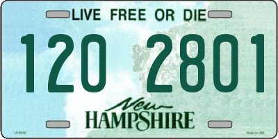 NH license plate 1202801