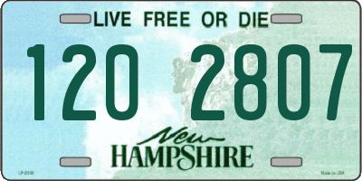 NH license plate 1202807