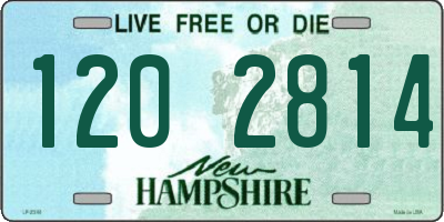 NH license plate 1202814