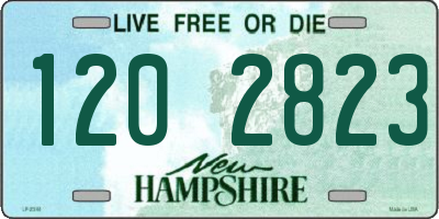 NH license plate 1202823