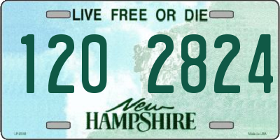 NH license plate 1202824