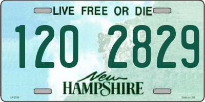 NH license plate 1202829