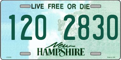 NH license plate 1202830