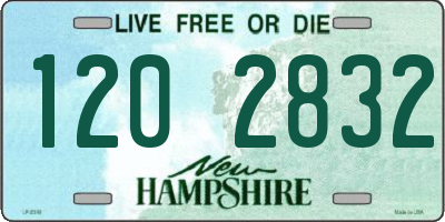 NH license plate 1202832