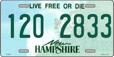 NH license plate 1202833