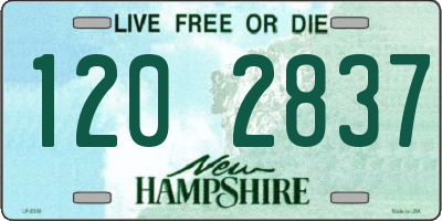 NH license plate 1202837
