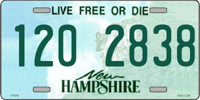 NH license plate 1202838