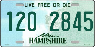 NH license plate 1202845