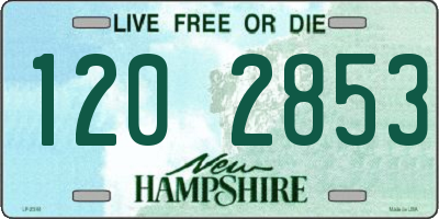 NH license plate 1202853