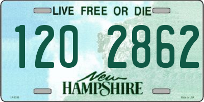 NH license plate 1202862
