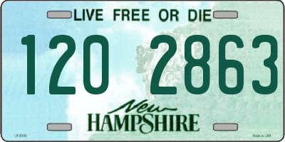 NH license plate 1202863