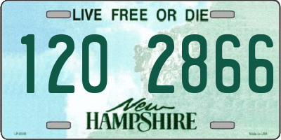 NH license plate 1202866
