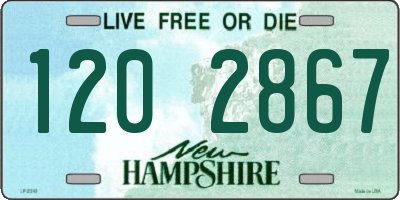NH license plate 1202867