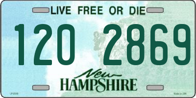 NH license plate 1202869