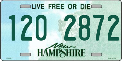 NH license plate 1202872
