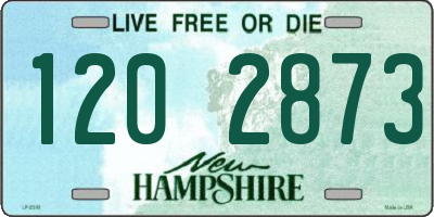 NH license plate 1202873