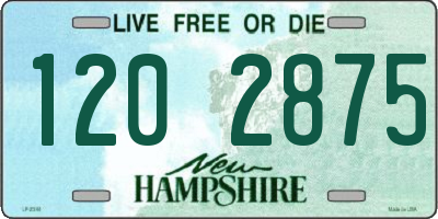 NH license plate 1202875