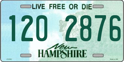 NH license plate 1202876