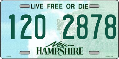 NH license plate 1202878