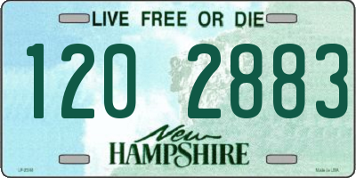 NH license plate 1202883
