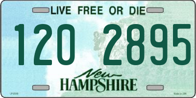NH license plate 1202895