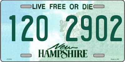 NH license plate 1202902