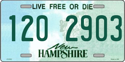 NH license plate 1202903