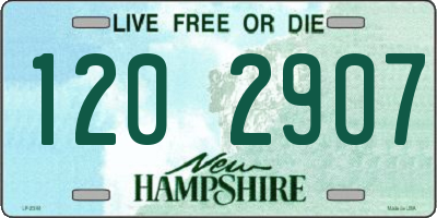 NH license plate 1202907