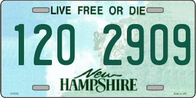 NH license plate 1202909