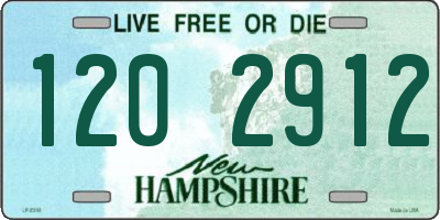 NH license plate 1202912