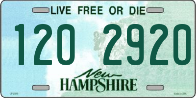 NH license plate 1202920