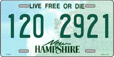 NH license plate 1202921