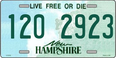 NH license plate 1202923
